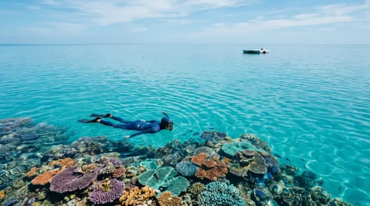 Snorkeler floating above vibrant coral reef with calm turquoise water and empty pontoon in distance