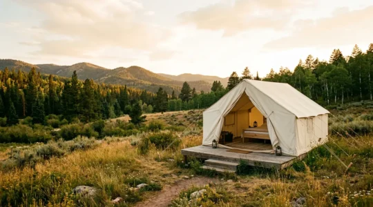 Luxury canvas glamping tent in golden summer light with natural surroundings