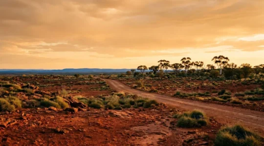 Wide panoramic view of Australian landscape symbolizing budget travel adventure and careful planning