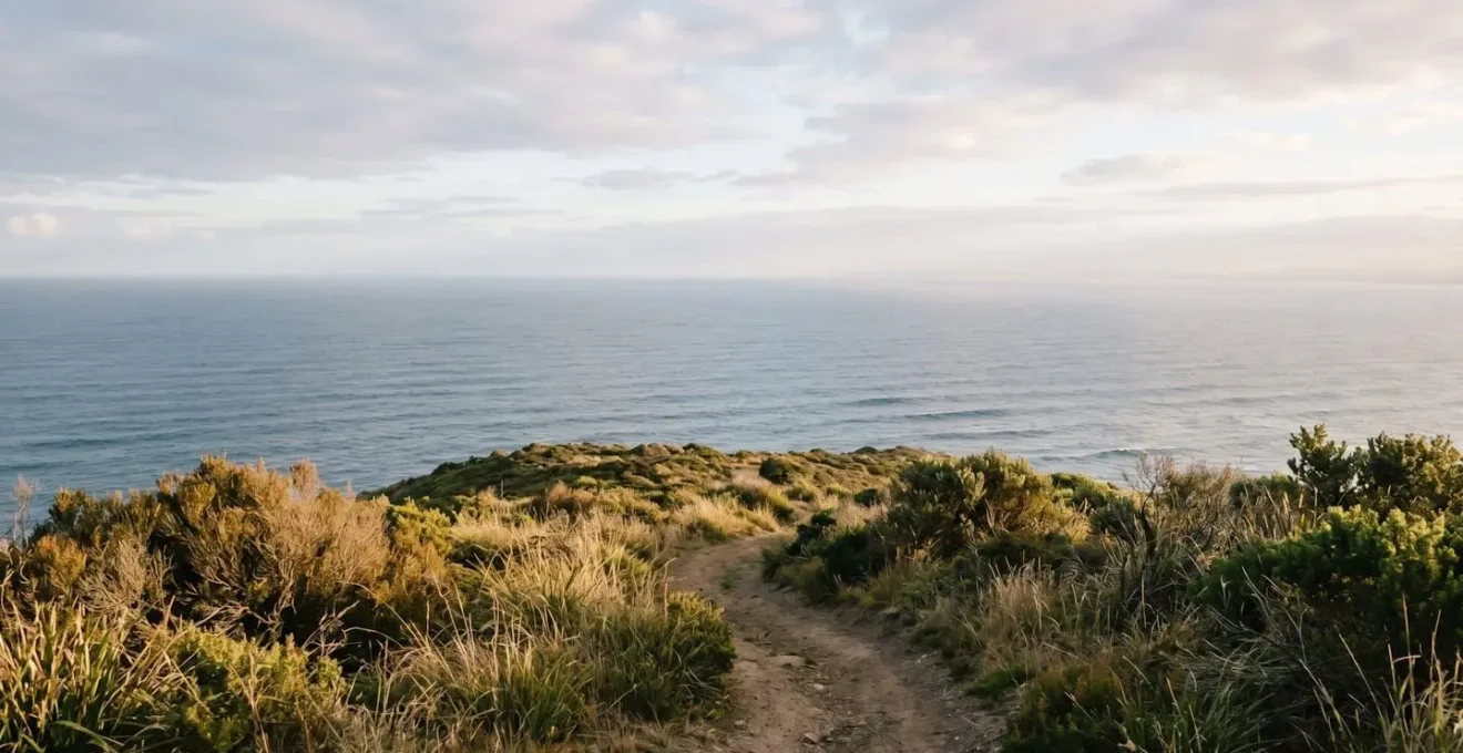 Wide coastal vista showing an empty rest area with ocean panorama and natural vegetation