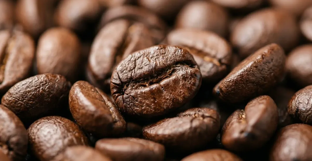 Close-up of freshly roasted coffee beans releasing carbon dioxide during optimal degassing period