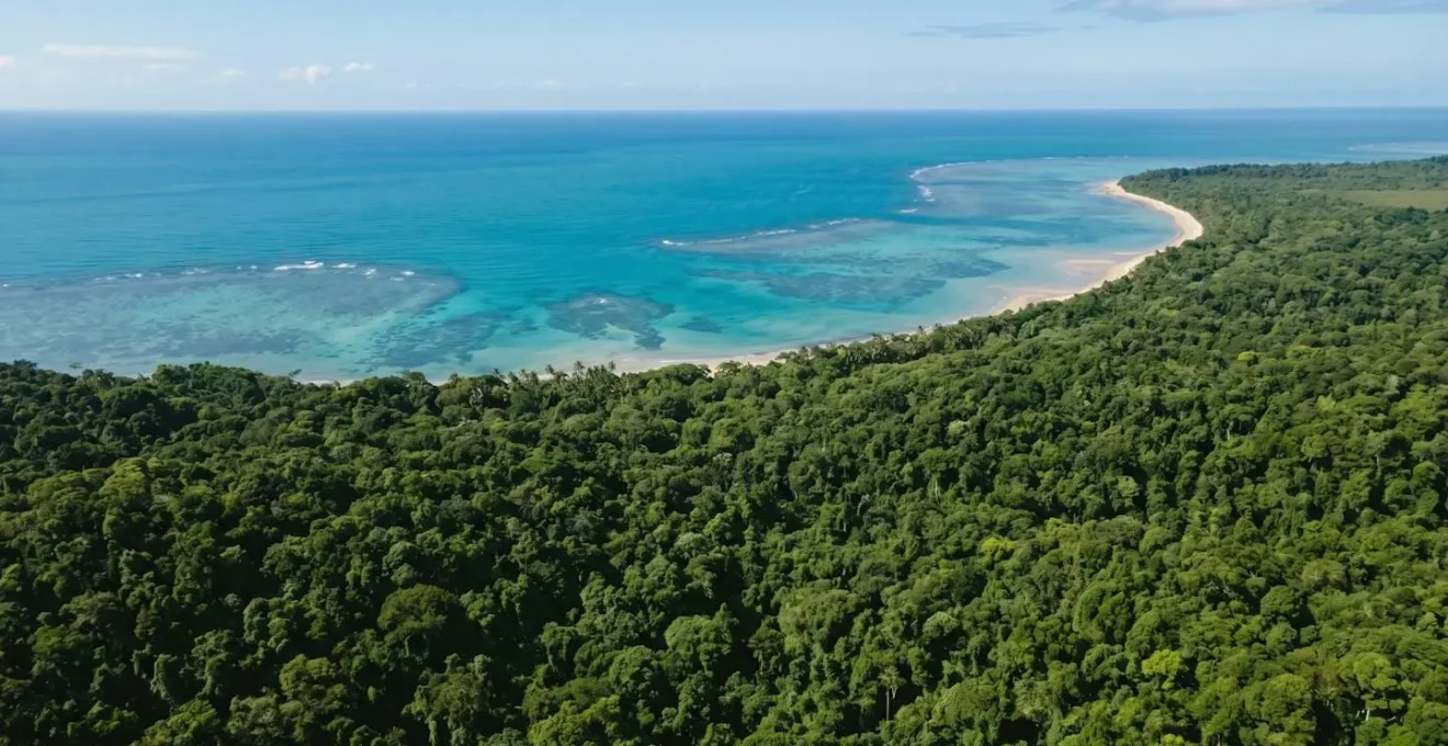 Wide aerial view where ancient Daintree rainforest canopy meets turquoise coastal waters