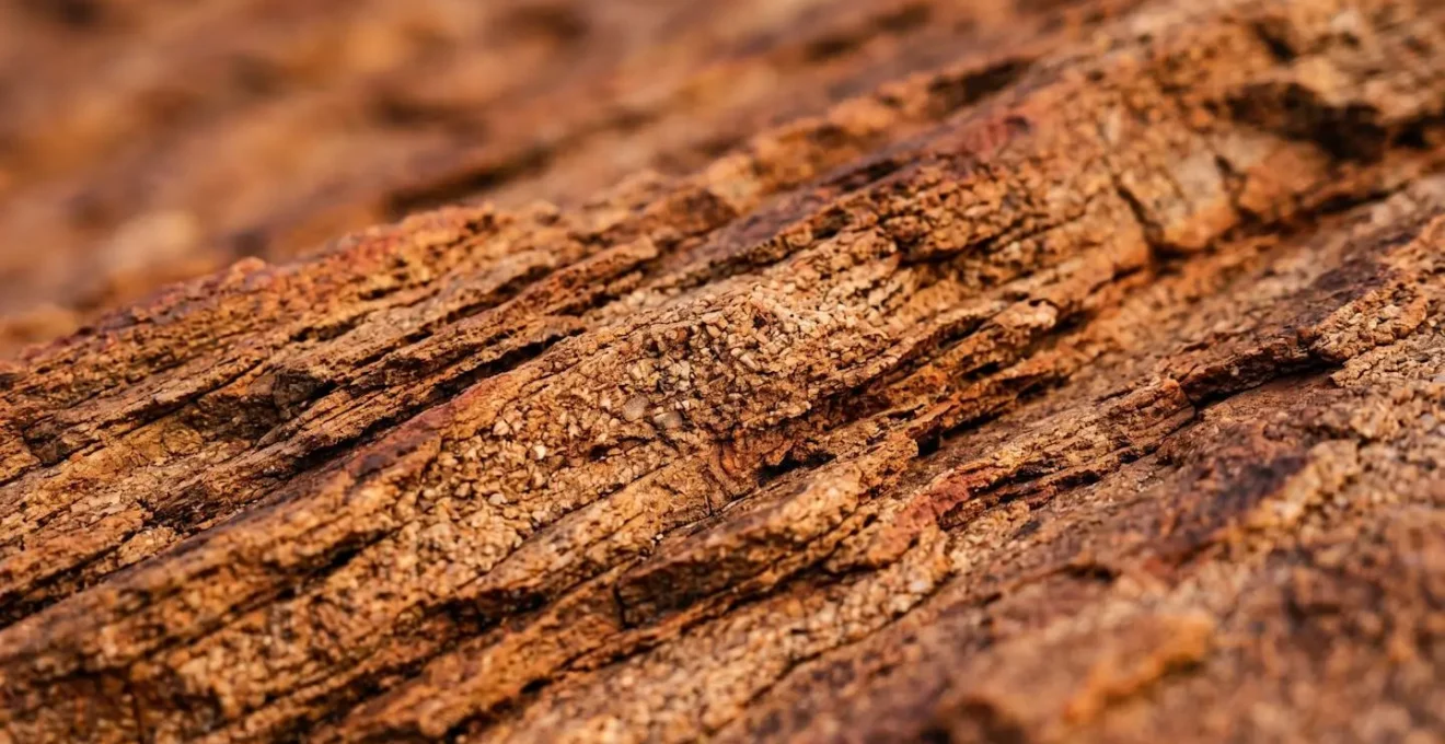 Extreme close-up of Uluru's vertically tilted arkose sandstone layers showing weathered texture, iron oxide coloration, and natural erosion patterns that tell the geological story